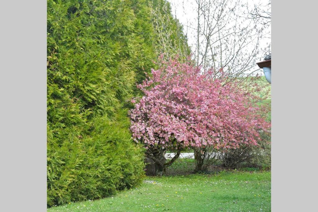 Domaine Des Montots Villa Tanlay Exterior photo